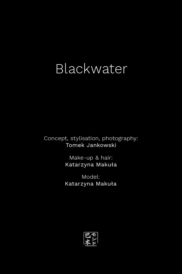 Fine Art Blackwater Project Info