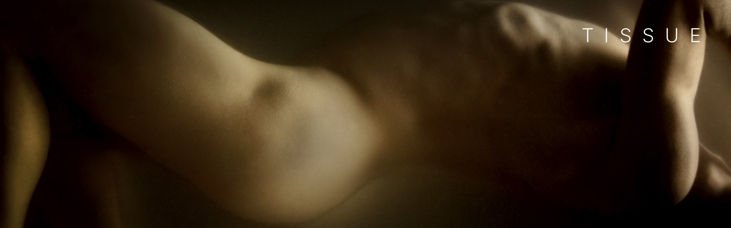 Tomek Jankowski Photography Portfolio - Homepage Banner - Tissue