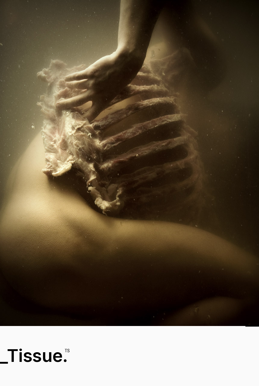 Tomek Jankowski Photography Portfolio - Tissue